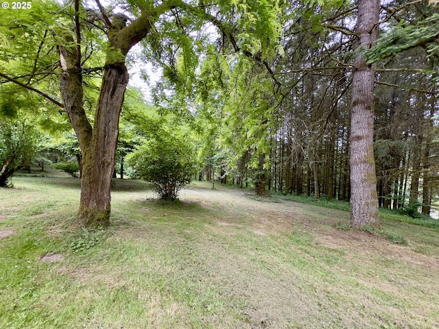 818 NW 359th St, La Center, WA 98629 - view of grassy yard with a view of trees