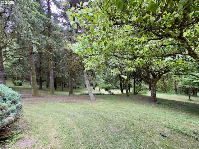 818 NW 359th St, La Center, WA 98629 - view of grassy yard featuring a forest view