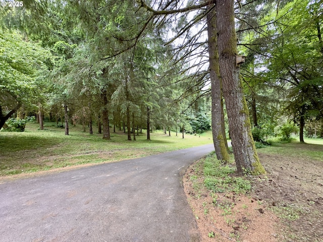 818 NW 359th St, La Center, WA 98629 - view of street with a forest view