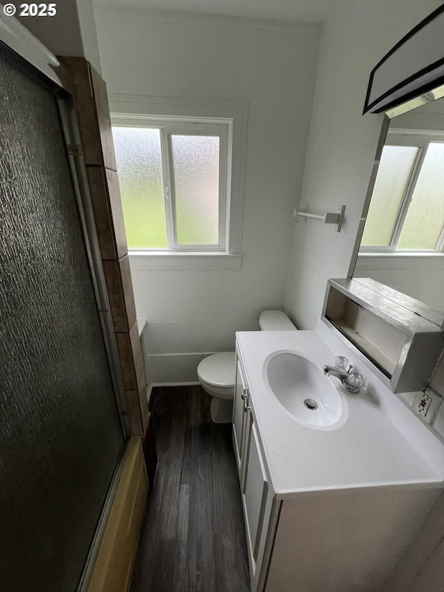 bathroom featuring vanity, hardwood / wood-style flooring, and toilet