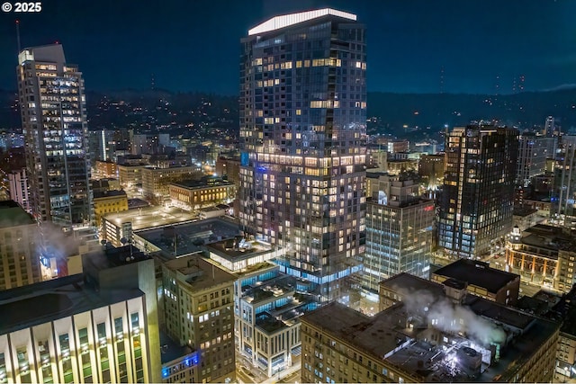 550 SW 10th Ave Unit 2306, Portland, OR 97205 - property's view of city
