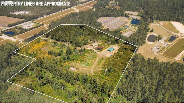 87372 Lois Ln, Bandon, OR 97411