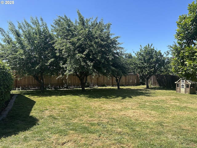 715 N 16th St, Cottage Grove, OR 97424 - view of yard