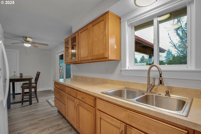 kitchen with brown cabinets, light countertops, glass insert cabinets, light wood-style floors, and a sink