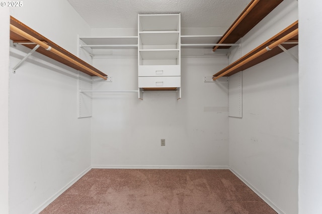 spacious closet featuring carpet