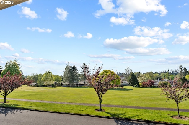 view of home's community with a lawn