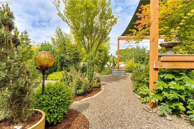 view of yard