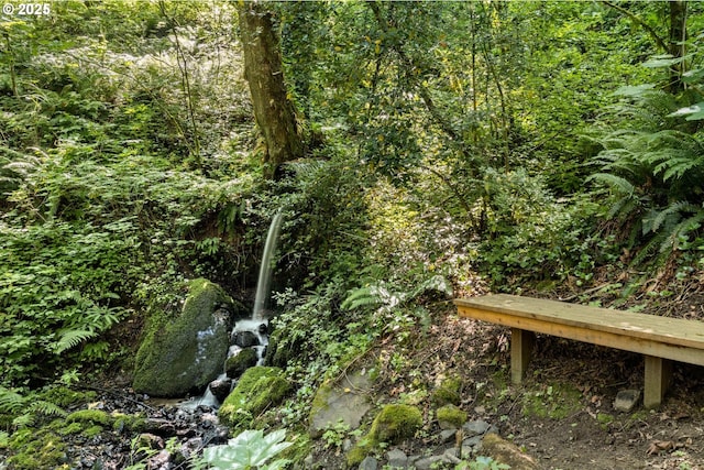37333 NE Reed Rd, Corbett, OR 97019 - exterior view of a forest