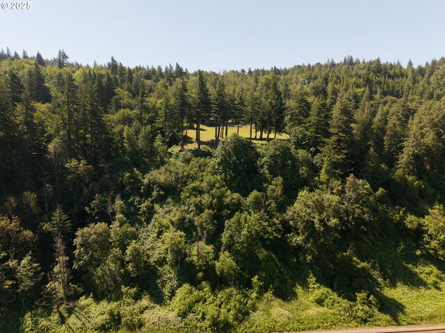 37333 NE Reed Rd, Corbett, OR 97019 - bird's eye view of a heavily wooded area