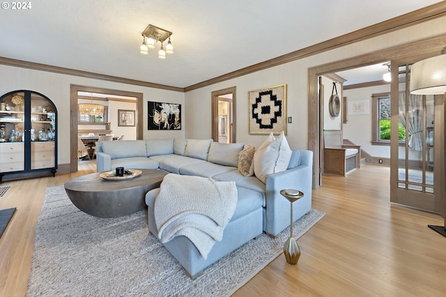 living area featuring crown molding, baseboards, and light wood-style floors