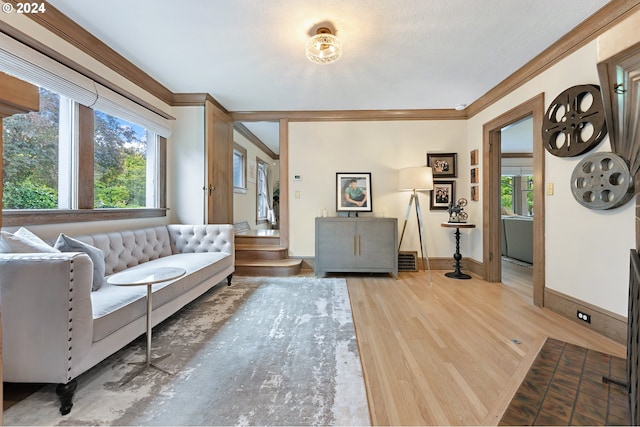 living room with ornamental molding, plenty of natural light, wood finished floors, and baseboards