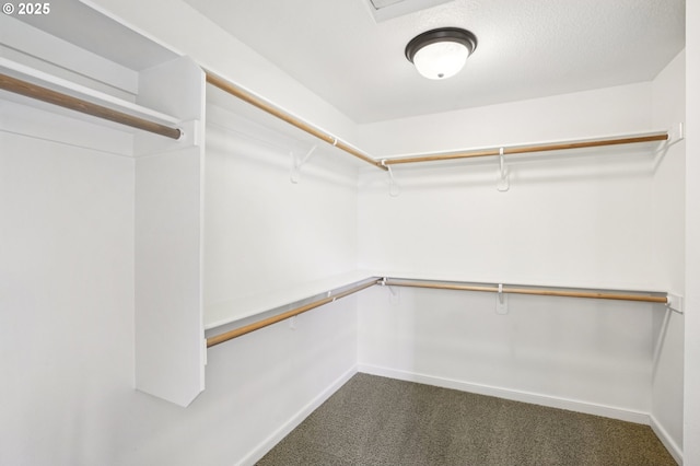 665 NE Skidmore St, Portland, OR 97211 - walk in closet with dark carpet