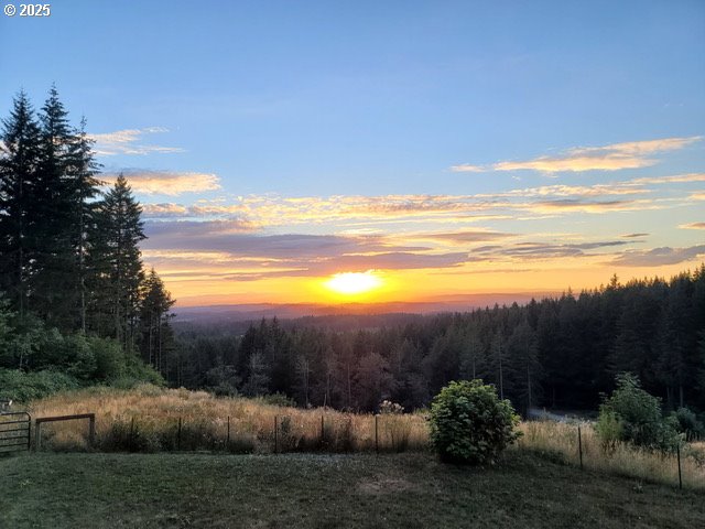 20740 S Shelley Ln, Beavercreek, OR 97004 - mountain view with a forest