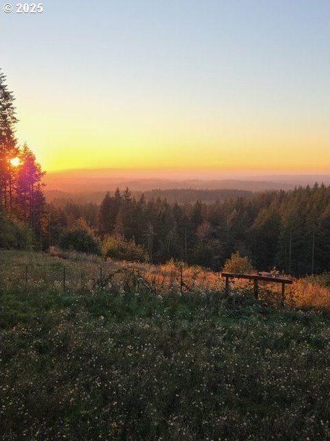 20740 S Shelley Ln, Beavercreek, OR 97004 - view of nature at dusk