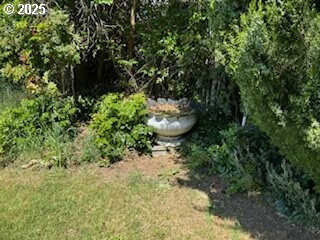 215 Hill Ave, Milton-Freewater, OR 97862 - view of grassy yard