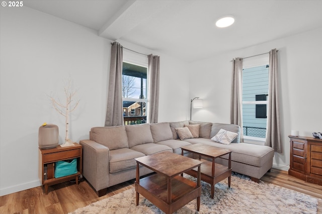 living room with light hardwood / wood-style flooring