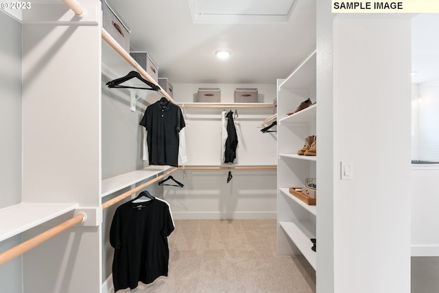 walk in closet featuring carpet flooring