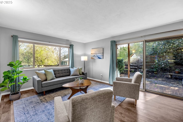 living area featuring baseboards and wood finished floors