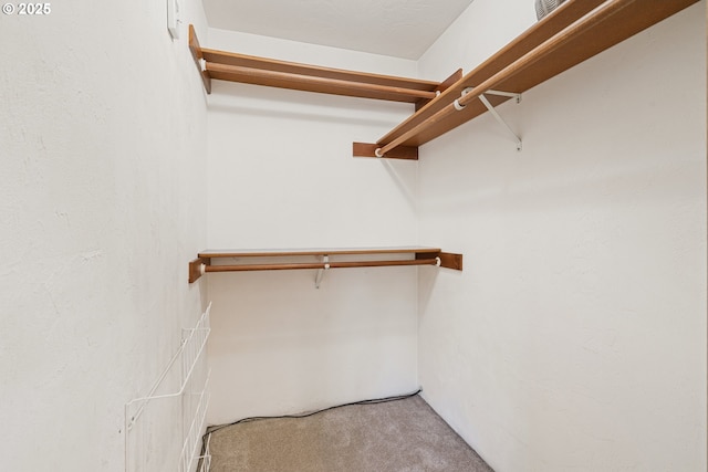 2935 Cedarwood Ct, Albany, OR 97322 - spacious closet featuring carpet floors