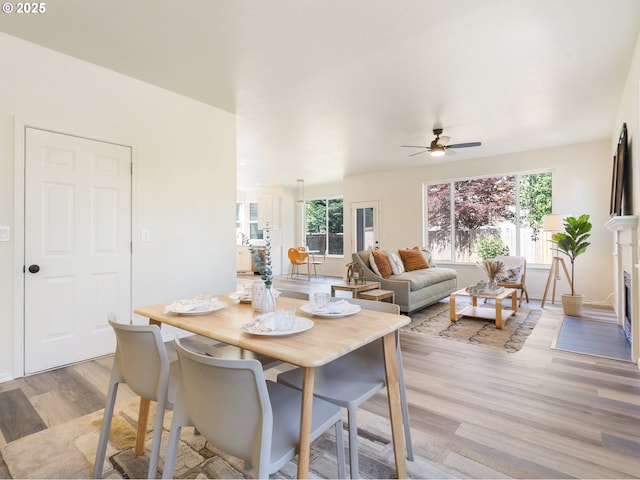 13688 Sandra Loop, Oregon City, OR 97045 - dining area featuring light wood-style flooring, plenty of natural light, and a ceiling fan