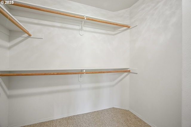 2475 NE 10th Ave, Hillsboro, OR 97124 - walk in closet featuring carpet floors