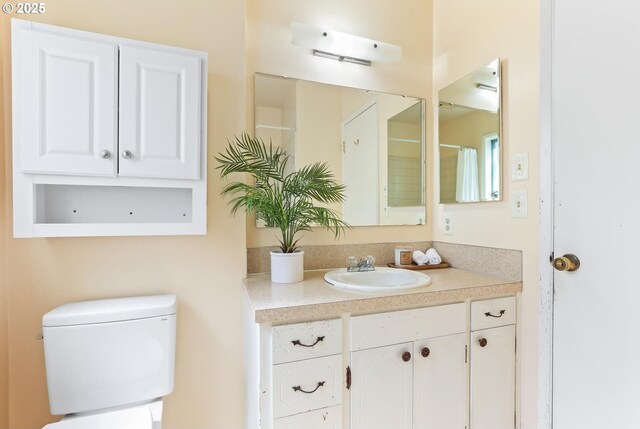 bathroom with toilet and vanity
