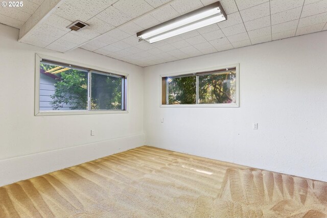 spare room with carpet