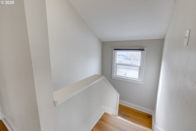 stairway featuring hardwood / wood-style flooring