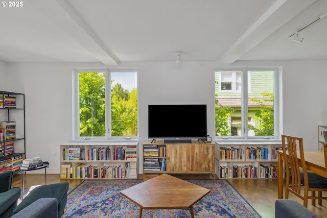325 NE Graham St Unit 8, Portland, OR 97212 - living area featuring beam ceiling and track lighting
