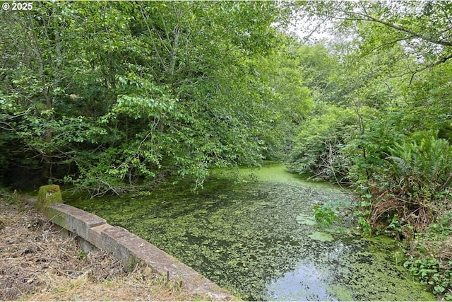 66663 Gunderson Rd, North Bend, OR 97459 - view of undeveloped land