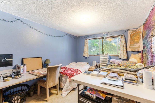 office area featuring a textured ceiling and carpet