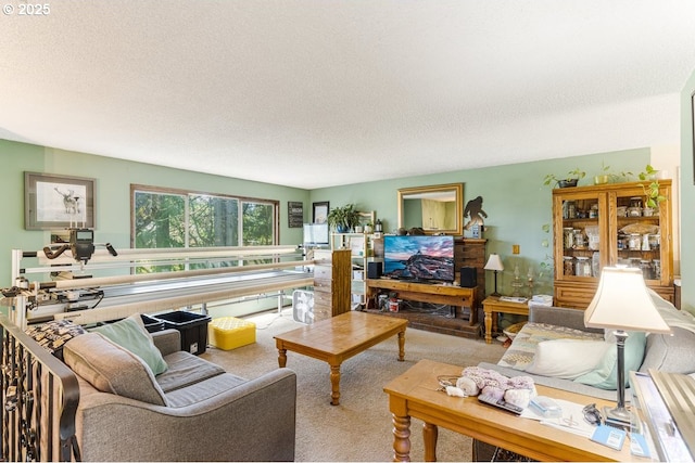 living area featuring carpet floors and a textured ceiling