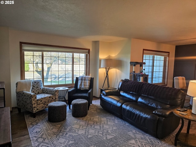 living room with hardwood / wood-style floors and a textured ceiling