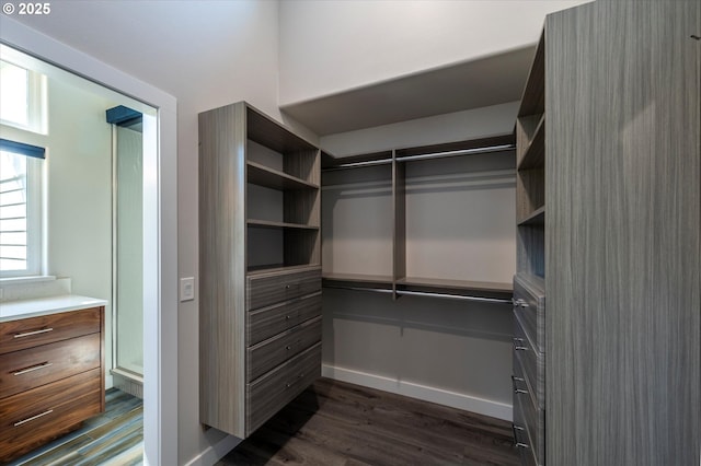 760 Carter St SW, Bandon, OR 97411 - spacious closet with dark wood finished floors