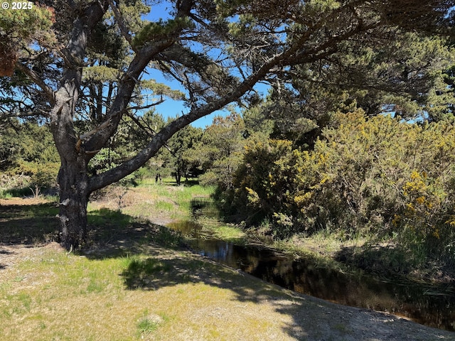 760 Carter St SW, Bandon, OR 97411 - view of yard