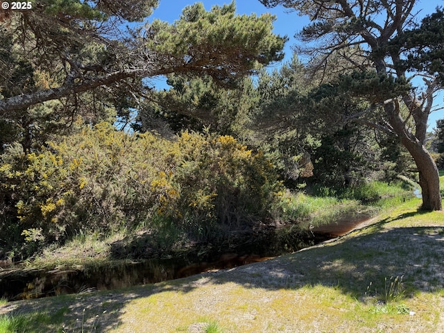 760 Carter St SW, Bandon, OR 97411 - view of grassy yard