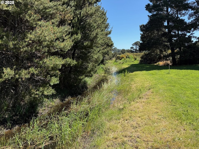 760 Carter St SW, Bandon, OR 97411 - view of nature
