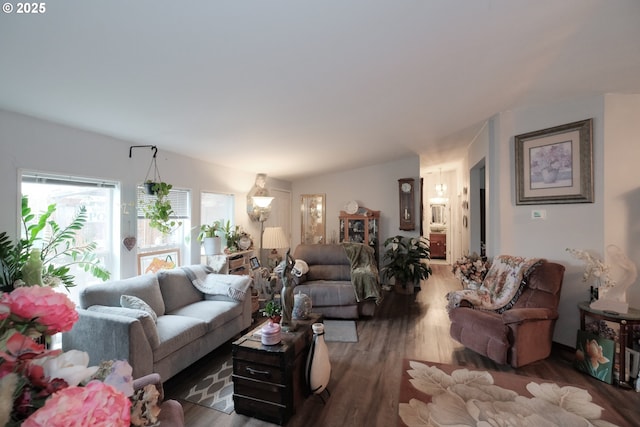 living room featuring dark hardwood / wood-style floors