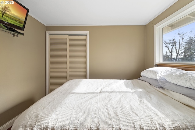 bedroom featuring crown molding and a closet