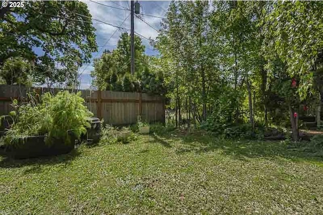view of yard
