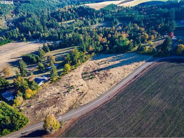 bird's eye view with a forest view