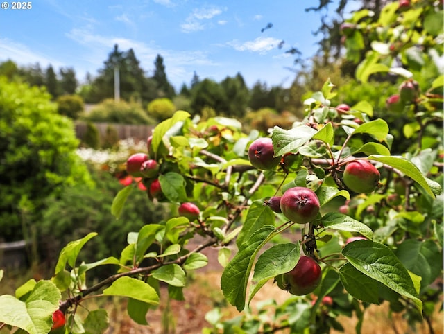 1305 Sandy Ridge Rd, Gearhart, OR 97138 - exterior view