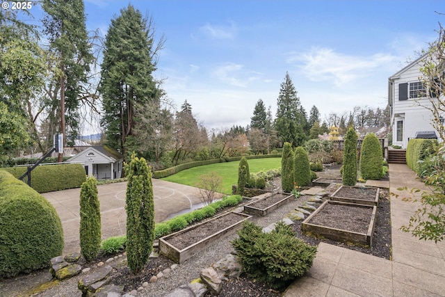 view of yard featuring a garden