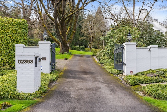 view of road with driveway and a gate