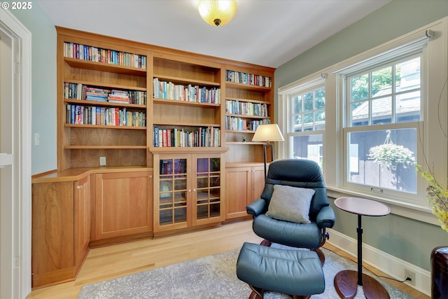 3034 NE Tillamook St, Portland, OR 97212 - living area featuring light wood-type flooring