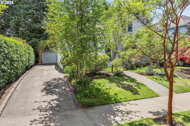 3034 NE Tillamook St, Portland, OR 97212 - obstructed view of property with concrete driveway