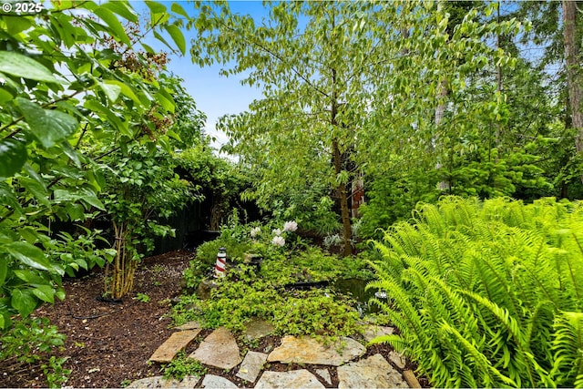 174 Cedar Ln, Gates, OR 97346 - view of nature