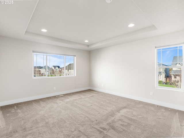 carpeted spare room with a raised ceiling