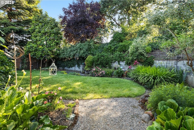 1842 NW Dogwood St, Roseburg, OR 97471 - view of yard