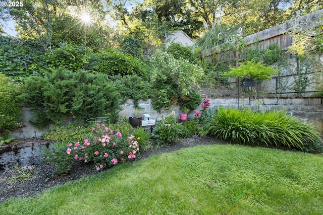 1842 NW Dogwood St, Roseburg, OR 97471 - view of yard